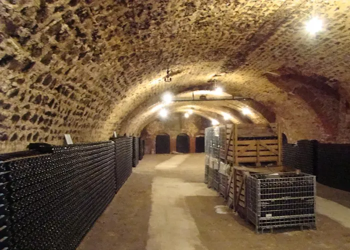 L'atelier De Degustation B&B 베르투스